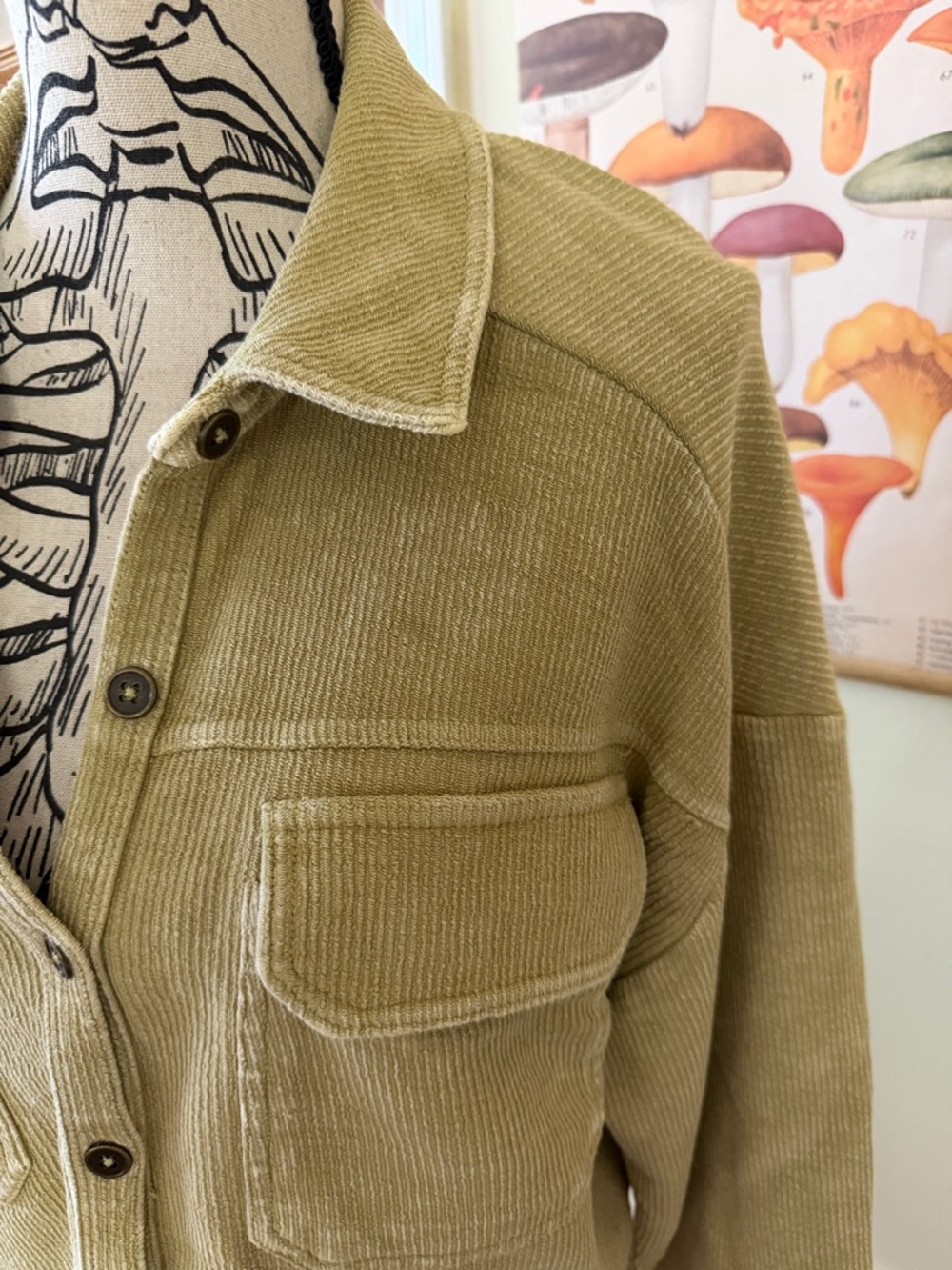 Pilcro Olive Green Corduroy Utility Jacket - Picture 4 of 5